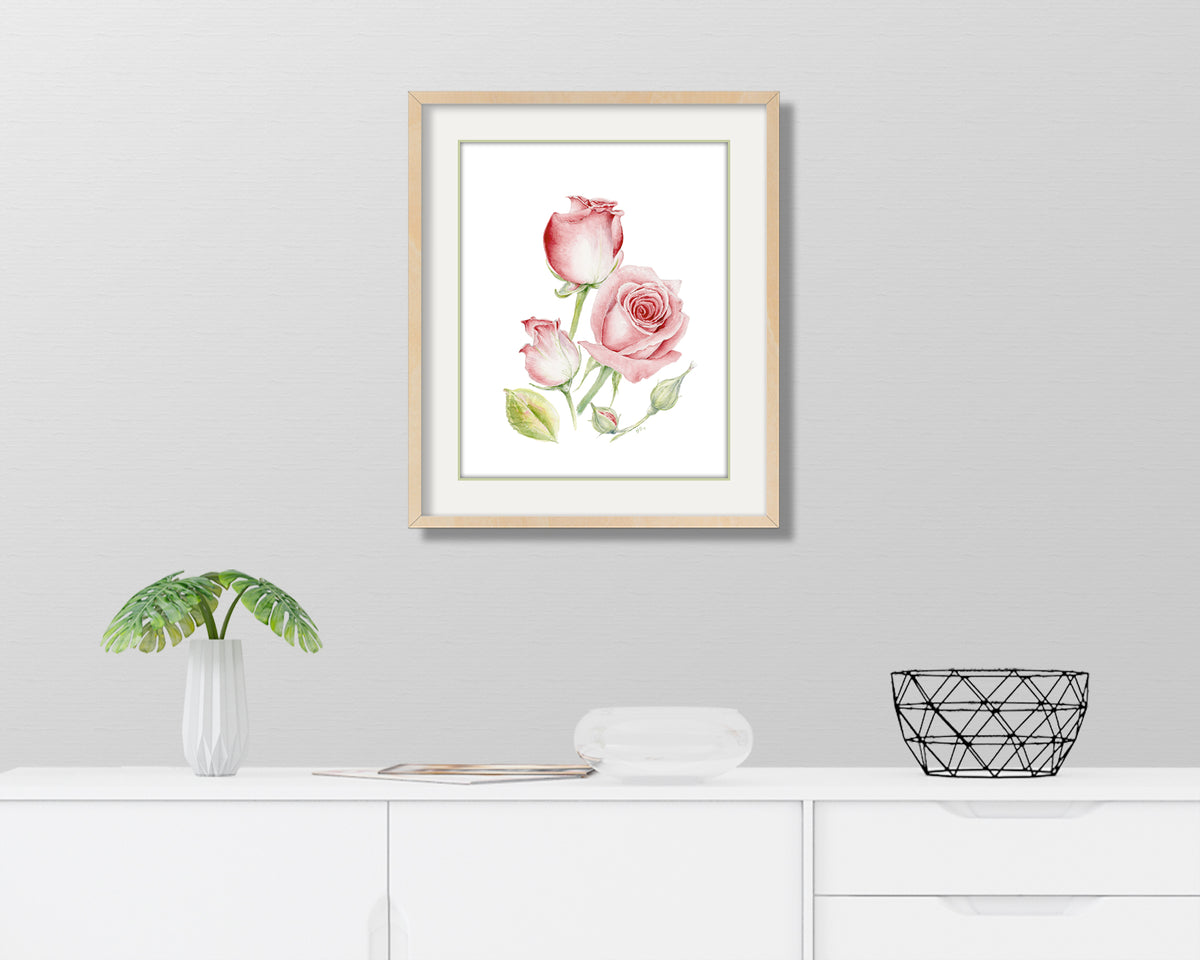 Roses #2 Flower Art Print