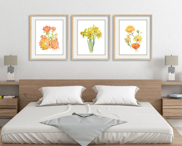 Yellow Flower Prints Set of 3 - Floral Wall Art - James River Studios