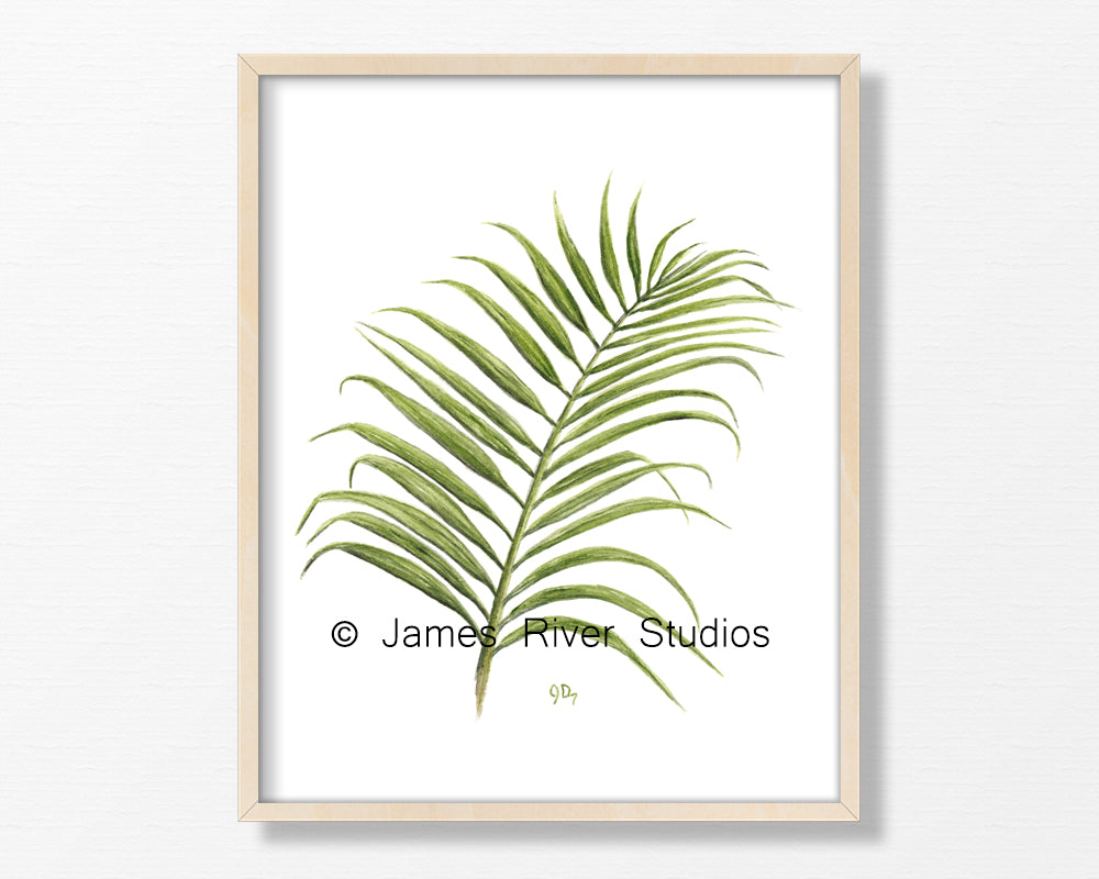 Flower &amp; Tropical Leaf Prints Set of 6