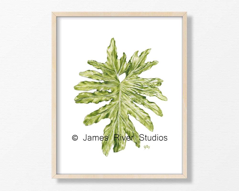 Tropical Leaves Print Set of 3