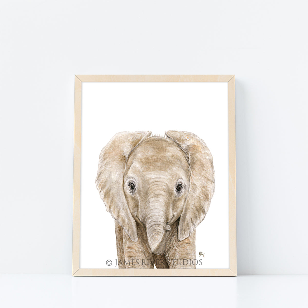Elephant Portrait Print