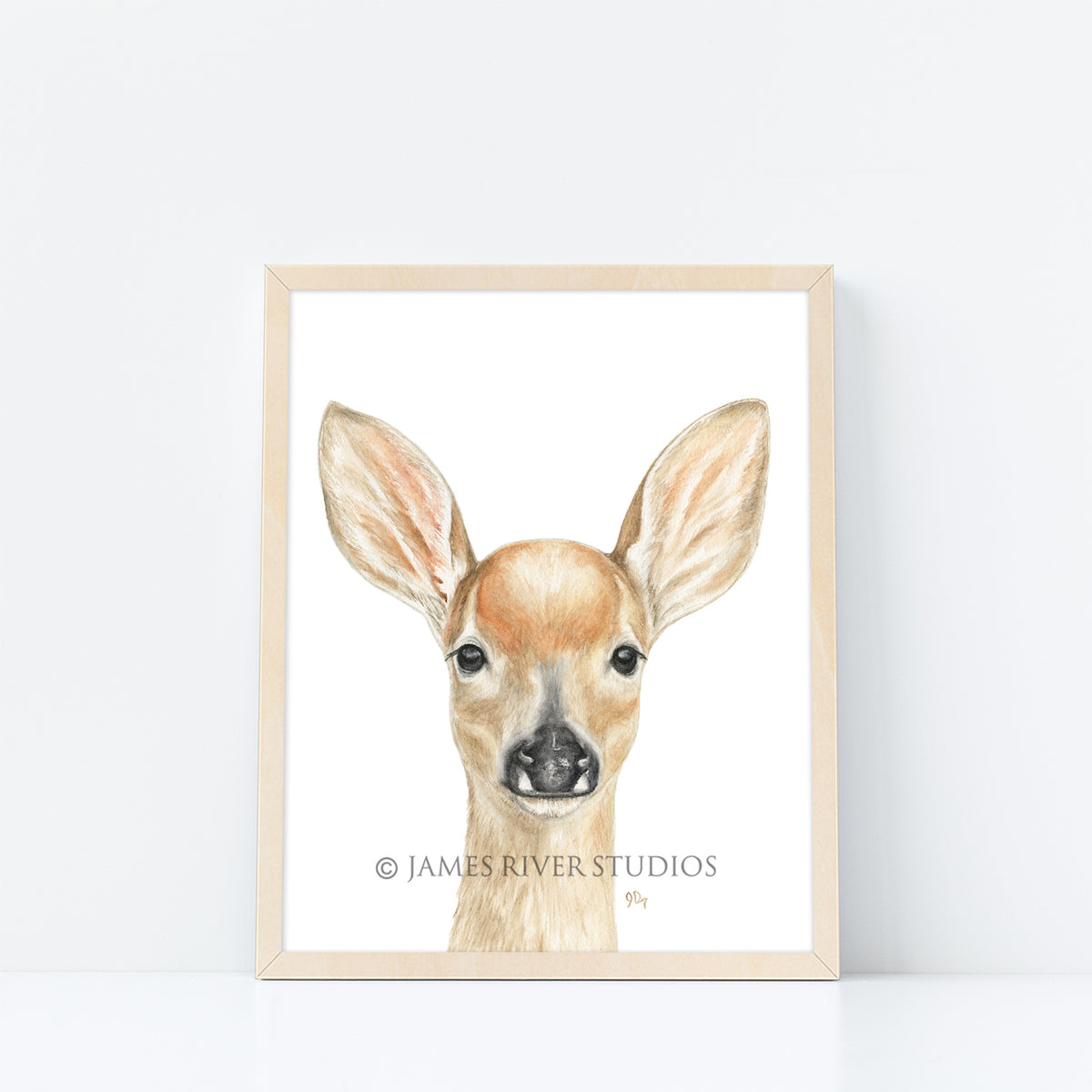 Deer Portrait Print