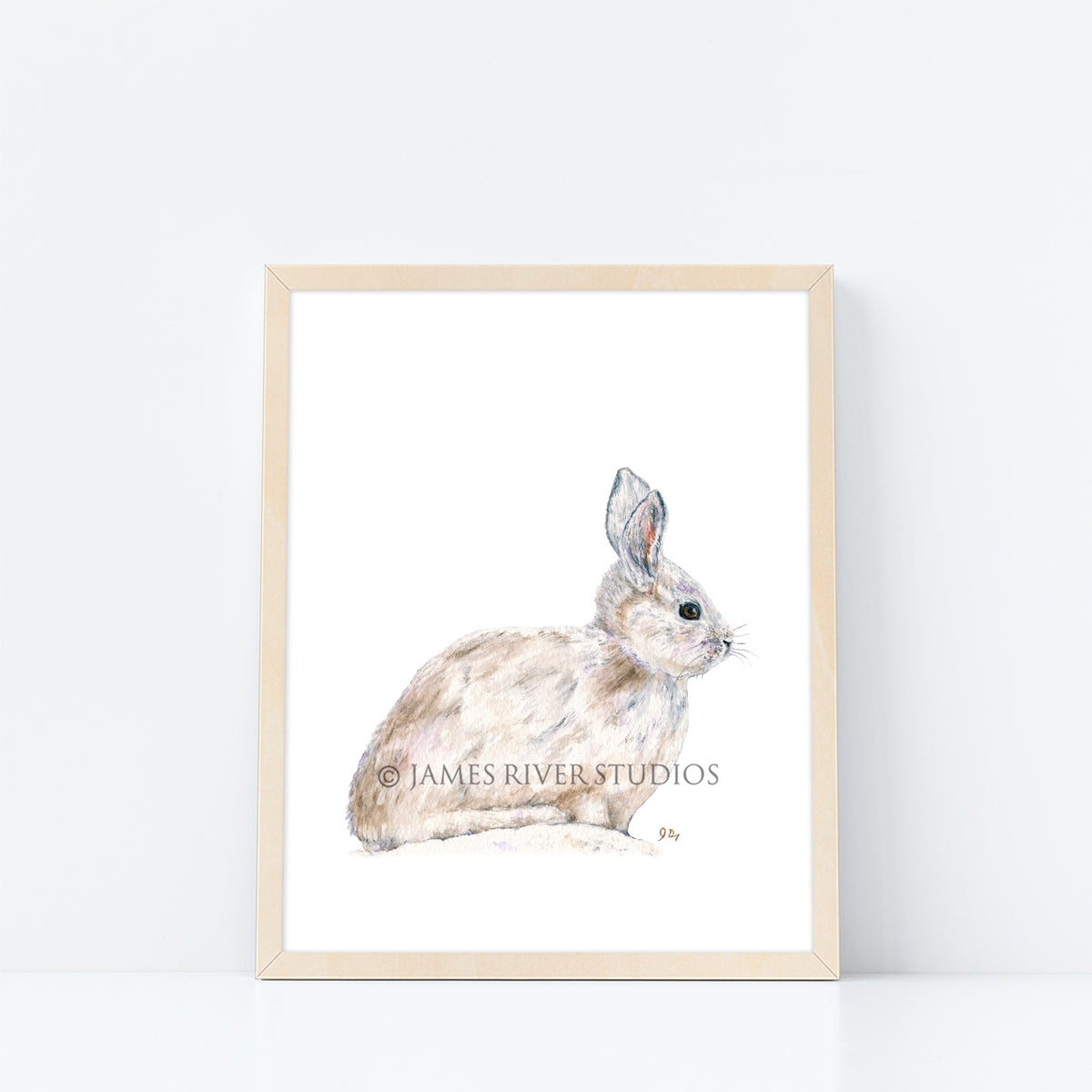 Arctic Animal Prints Set of 6