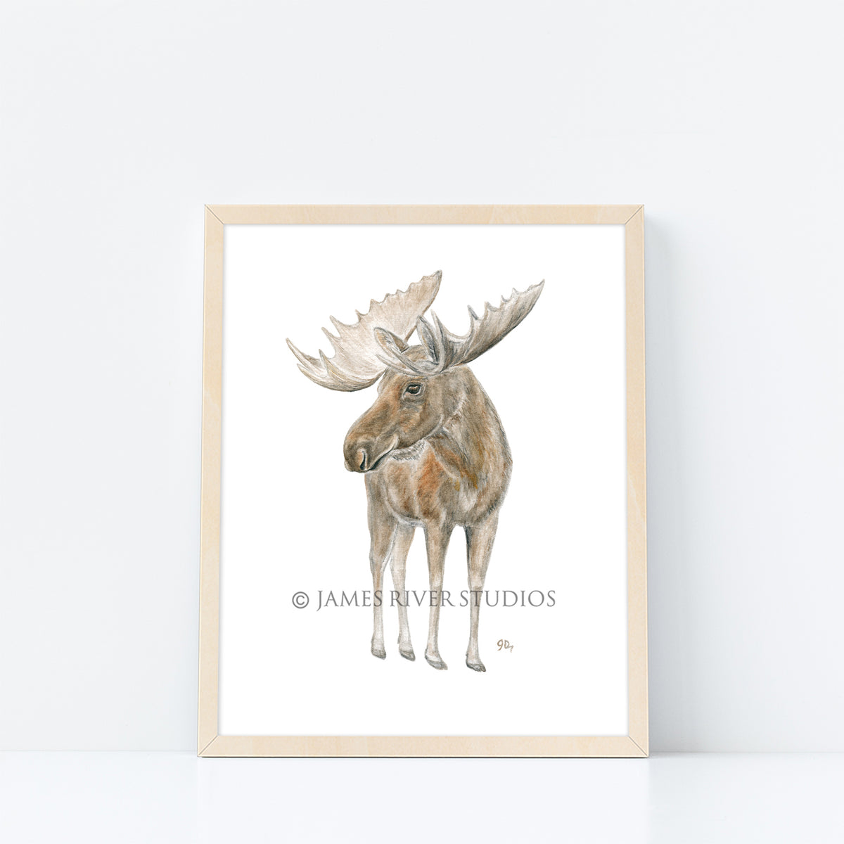 Arctic Animal Prints Set of 6