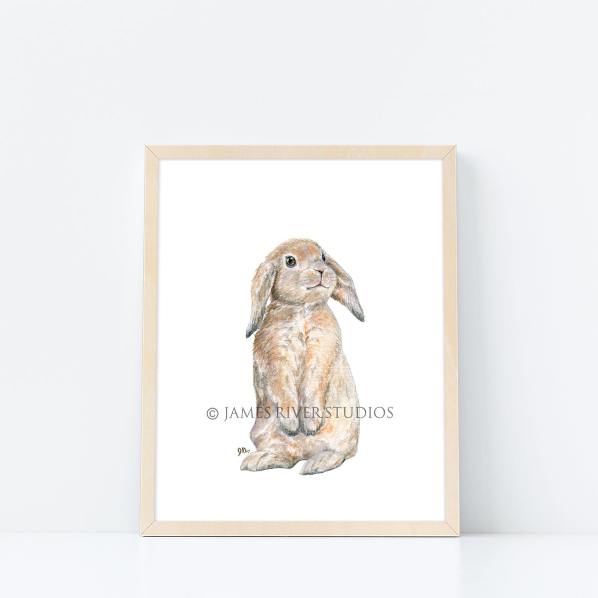 Woodland Animal Prints Set of 4