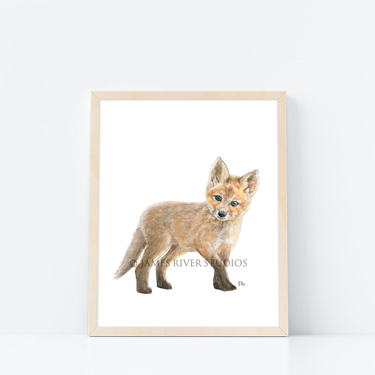 Woodland Animal Prints Set of 8